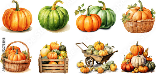 Vector set of pumpkins watecrolor style