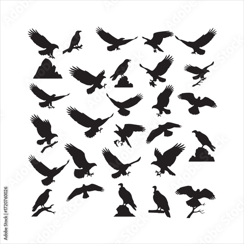 Diverse Eagle and Bird of Prey Silhouettes Collection