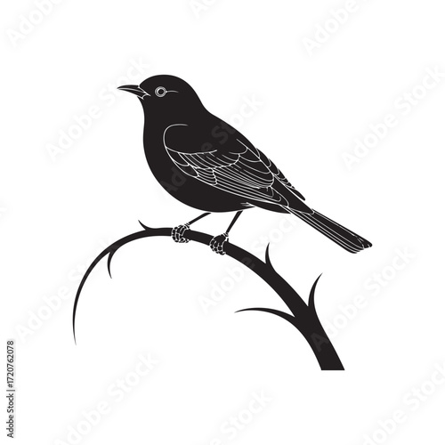 bird on a branch with leaves