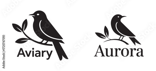 Blackbird Silhouettes on Branch Isolated on White