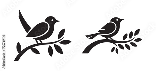 Flying and Perched Bird Silhouette Design
