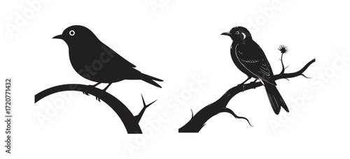 Bird Silhouette on Tree Branch Vector Illustration