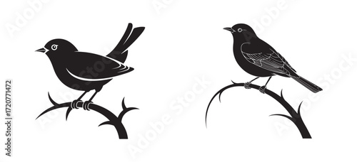 Bird Silhouette on Tree Branch Vector Illustration