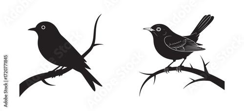 Minimalist Bird Design with Tree Branch