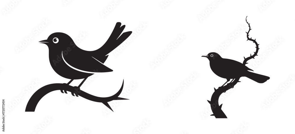 Fototapeta premium Bird Silhouette Isolated on White Background