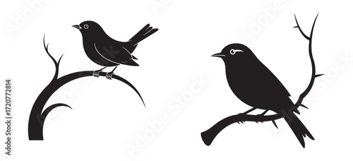 Blackbird on Tree Branch Vector Illustration