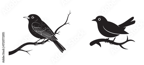 Blackbird on Tree Branch Vector Illustration