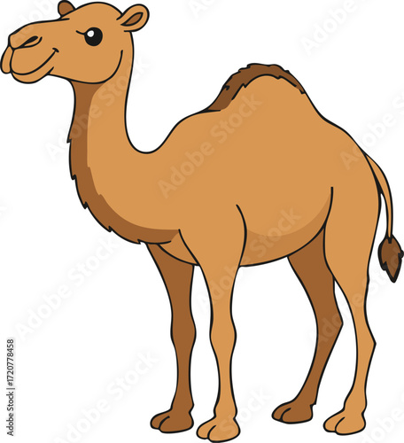 Dromedary camel with single hump and long legs