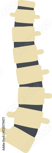Human Spine Icon