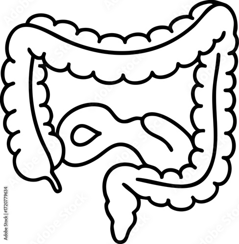 Large Intestine Icon