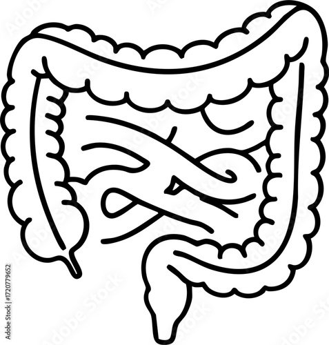 Large Intestine Icon