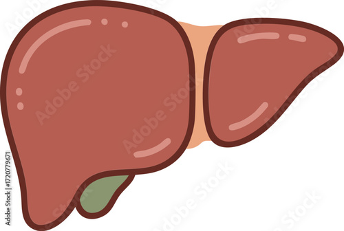Human Kidneys