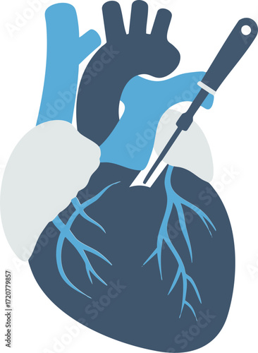 Human Heart Illustration