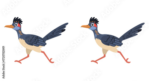 Two cartoon roadrunners running side by side animated motion sequence for wildlife graphics isolated on white background