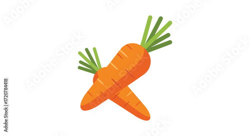 Fresh orange carrots with green tops a healthy food staple for your kitchen isolated on white background