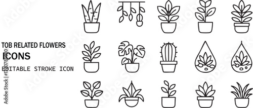 Collection of potted plants and terrarium icons in line art style isolated on white background