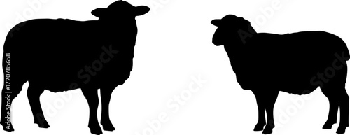 Sheep silhouette, Lamb standing silhouette, Sheep black icon vector
