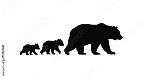 Silhouette of a mother bear and two cubs walking together wildlife animal family scene isolated on white background