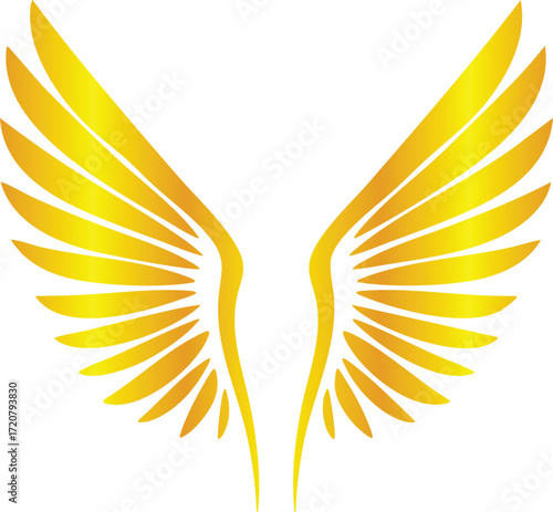Golden Wing Designs Collection