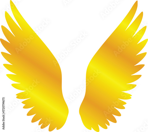 Golden Wing Designs Collection