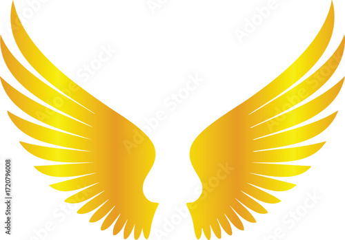 Golden Wing Designs Collection