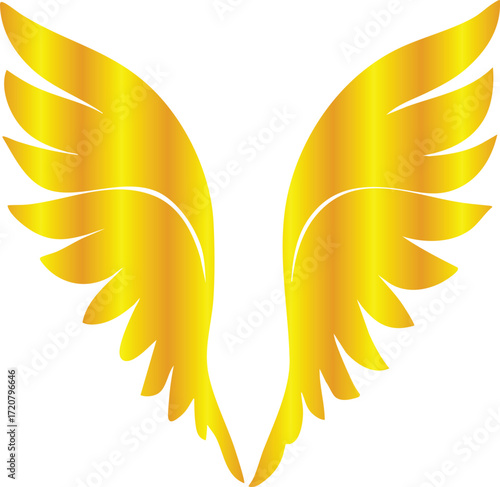 Golden Wing Designs Collection