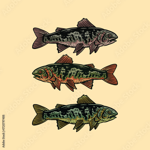 rainbow fish illustration vector design