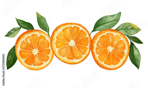 Watercolor orange slices with green leaves fresh citrus fruit isolated on white background healthy natural food illustration vector clipart