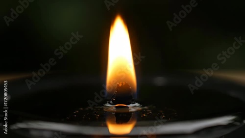 Wallpaper Mural A small, controlled flame burns steadily on a dark surface, symbolizing focus and determination burns steadily, hope, shallowdepthoffield Torontodigital.ca