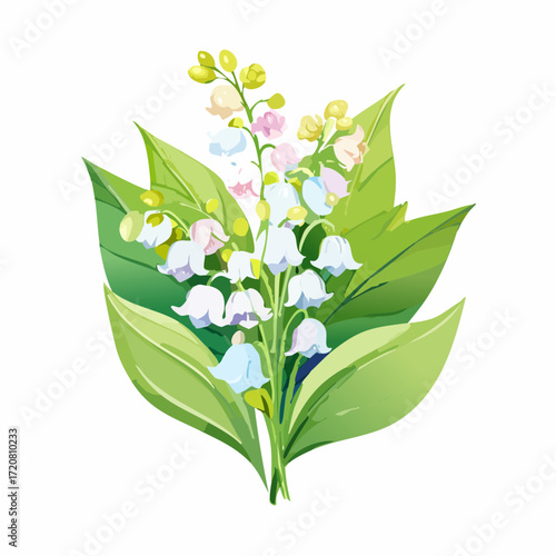 Lily of the valley
3