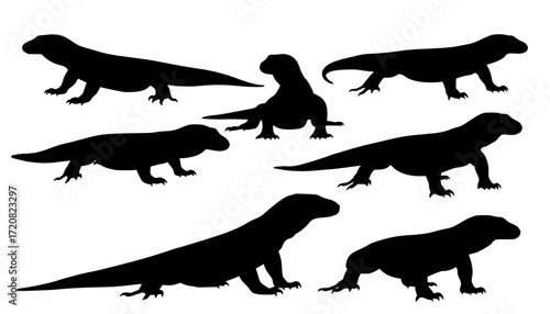 Komodo dragon silhouette vector, Dragon black silhouette, Vector illustration
