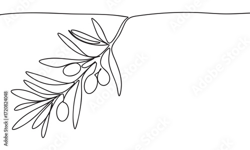 Olive Branch Line Drawing