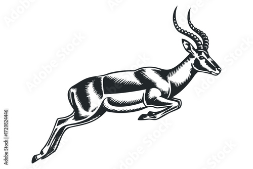 Gazelle leaping with spiral horns in a dramatic pose. Vector hand drawn illustration