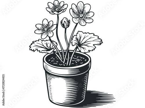 Black and White Drawing of Potted Wildflowers. Vector hand drawn illustration