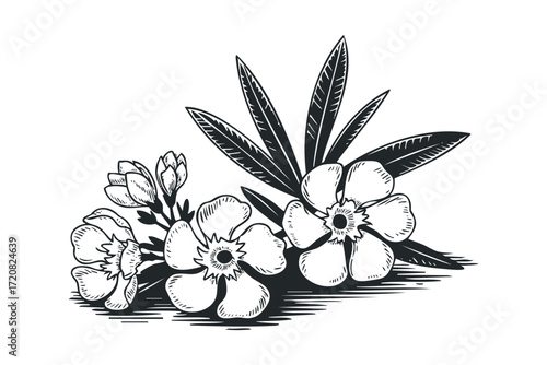 Sketch of delicate flowers and leaves. Vector hand drawn illustration