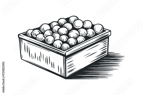 Wooden Crate Filled With Round Objects. Vector hand drawn illustration