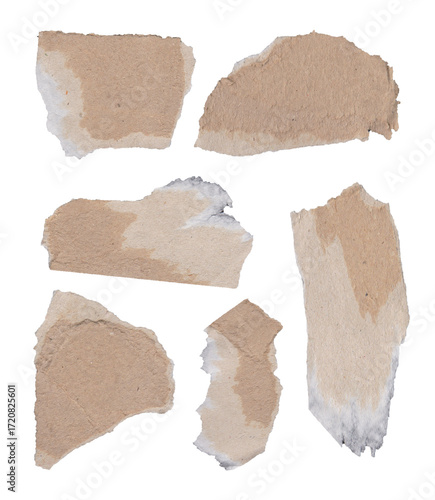 Wallpaper Mural Torn pieces of paper on a white background for creative projects Torontodigital.ca