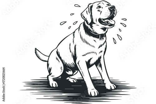 Labrador dog sitting panting with water droplets. Vector hand drawn illustration