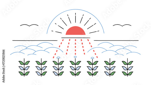 Sunset over farmland with blooming crops and birds flying in peaceful sky