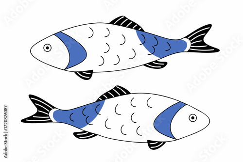 Fresh raw whole sea bass fish isolated on transparency background, minimal style illustration