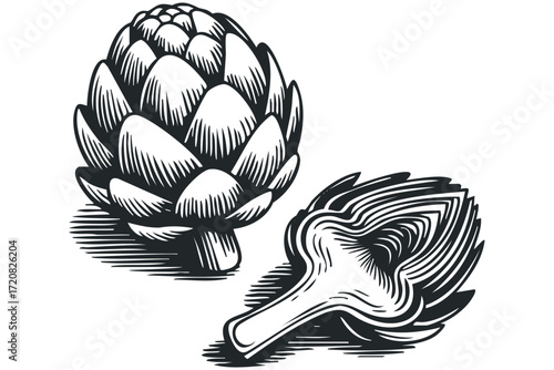 Whole and halved artichokes in vintage woodcut style. Vector hand drawn illustration