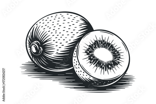 Whole and Halved Kiwi Fruit in Engraved Style. Vector hand drawn illustration