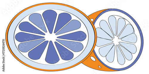 Vector fesh orange slices in minimal line art style, citrus fruit design for healthy food, juice, kitchen, summer, and tropical projects, clean outline style for recipes, food design, and culinary pro