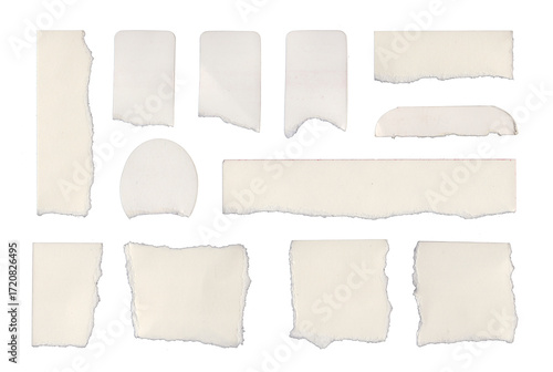 Wallpaper Mural Torn white paper pieces arranged on a flat surface for creative use Torontodigital.ca