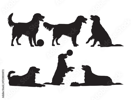 Golden Retrievers in Silhouette Playful Poses