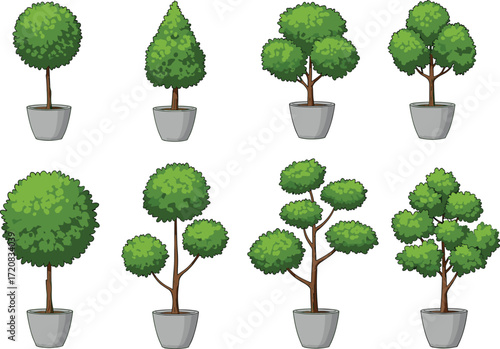 Cartoon set of decorative potted trees, green topiary plants in pots, indoor and outdoor garden foliage for landscaping and design