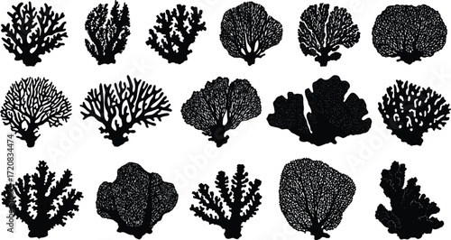 Collection of coral reef silhouettes, marine sea plants, underwater ocean elements, black vector illustration set for tropical aquatic nature design