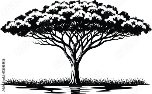 Black and white tree silhouette with wide canopy, water reflection, artistic nature concept, vector illustration for stock content and design
