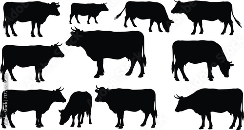 Cow silhouettes, farm animal vector, cattle illustrations, grazing cows, domestic livestock, black shapes, rural farming art, agriculture design, nature outline