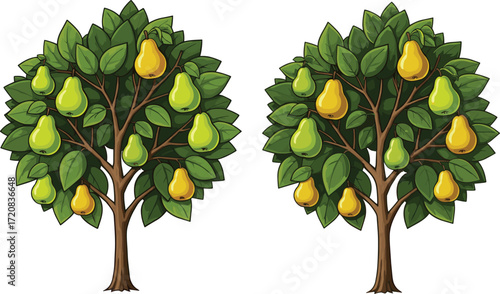 Cartoon pear trees with green and yellow fruits showing ripeness stages, symmetrical design, and botanical diversity for educational vector content